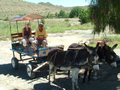 Donkey cart rides Nieu Bethesda