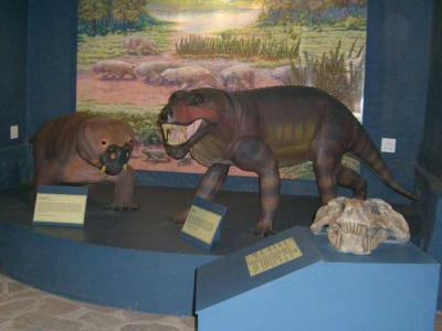 Fossil Centre Nieu Bethesda
