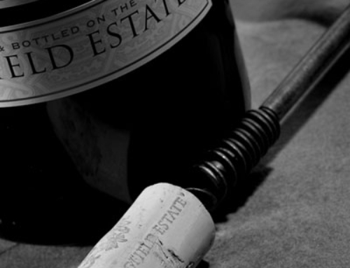 Springfield Estate Wine Tasting  and Art Exhibition